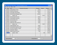 Checkbook for Flash Drives screenshot